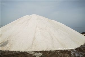 工业盐多少钱一吨